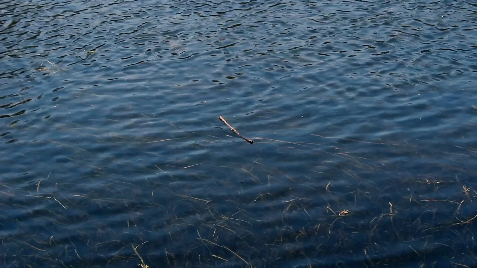 Clip05b.00_17_32_20.Still009.jpg