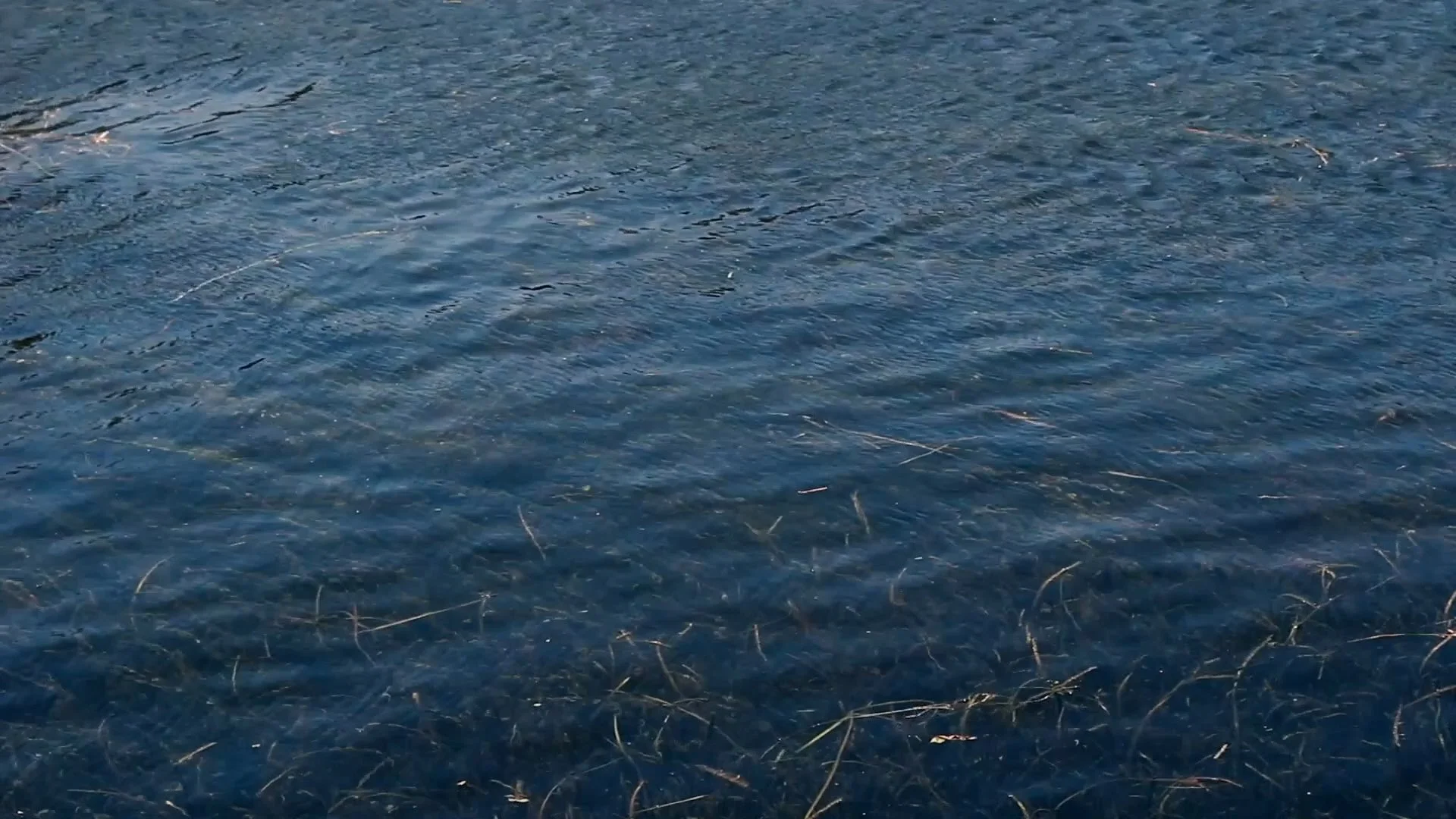 Clip05b.00_15_04_09.Still010.jpg