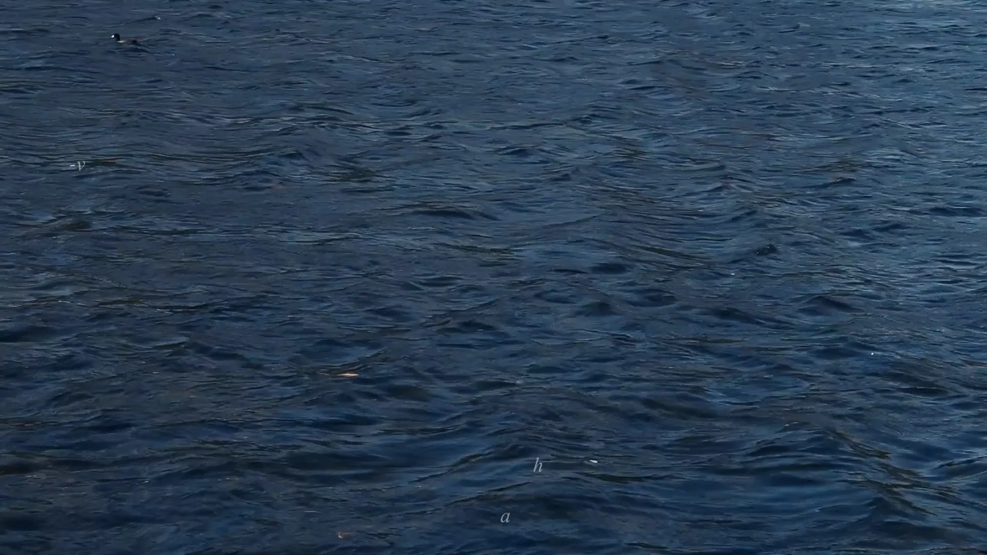 Clip05b.00_34_44_23.Still016.jpg