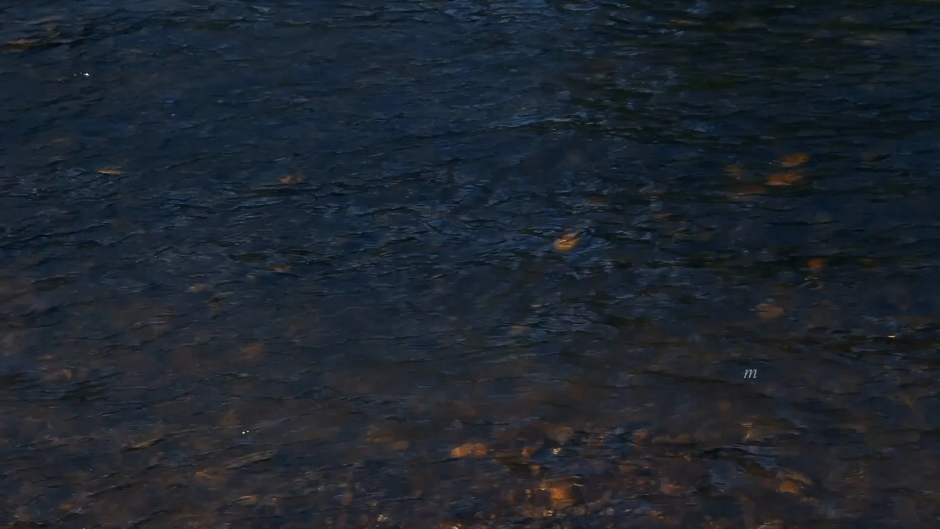Clip05b.00_29_37_17.Still014.jpg