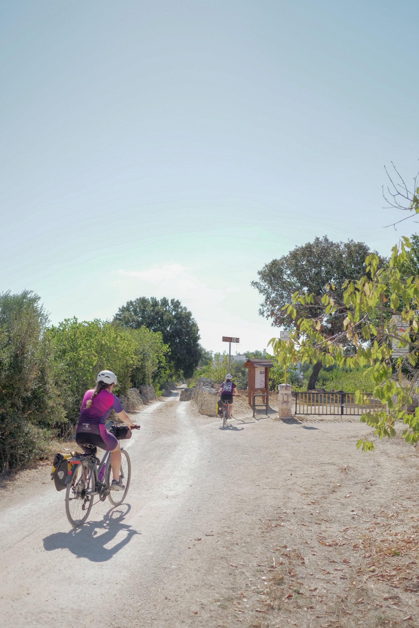 Three cyclists riding on a dirt trail in a park with trees and a gate in the background. The sky is clear and sunny.