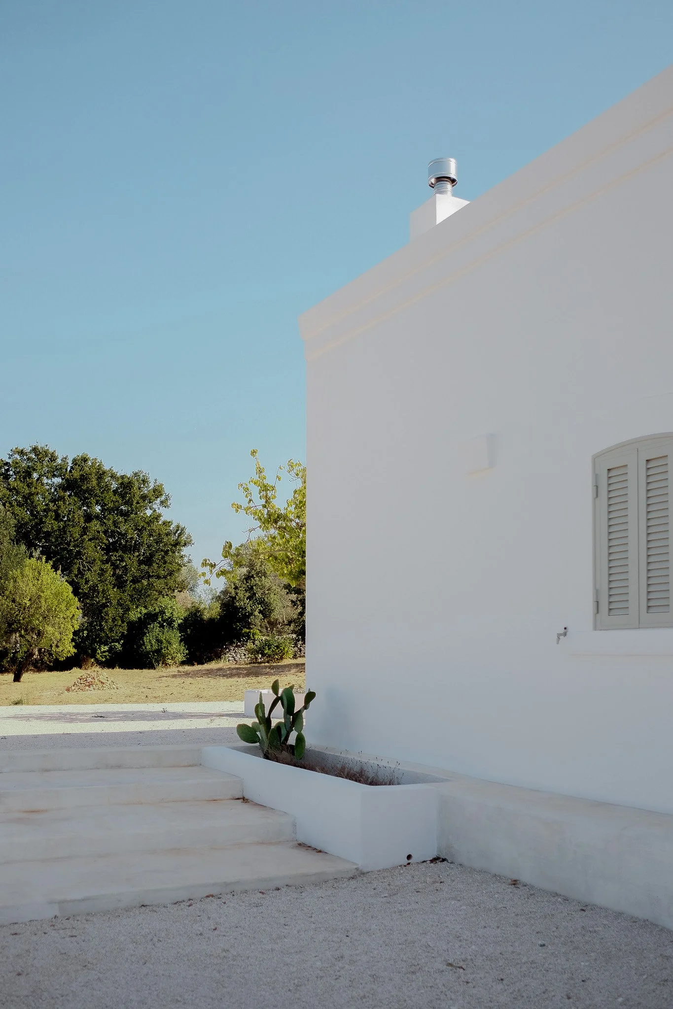 A white building with a small window and a cactus in front, next to a white staircase, with green trees and a clear blue sky in the background.
