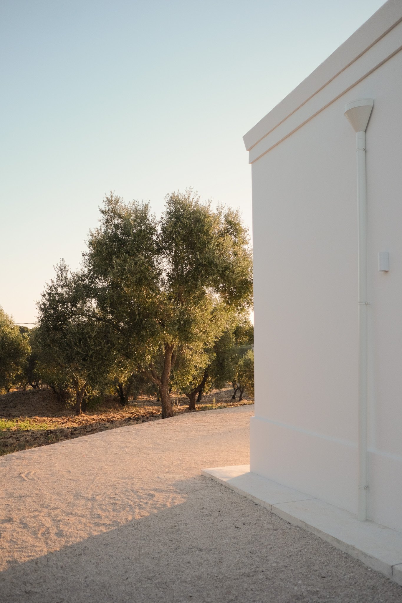 White building, surrounded by a sandy ground and trees in the background at sunset.
