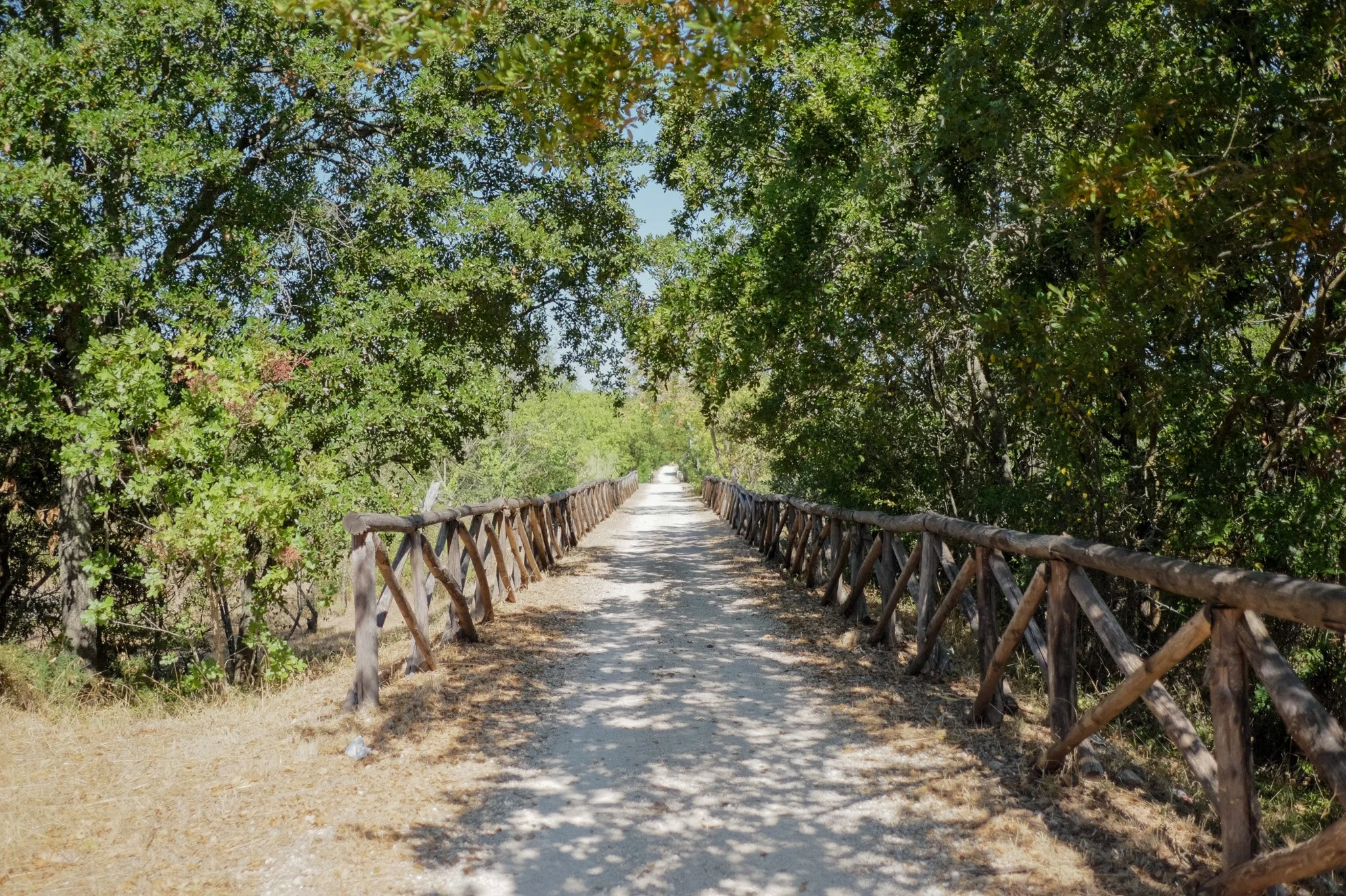 A dirt path surrounded by trees and greenery on both sides with a wooden railing on either side of the path.