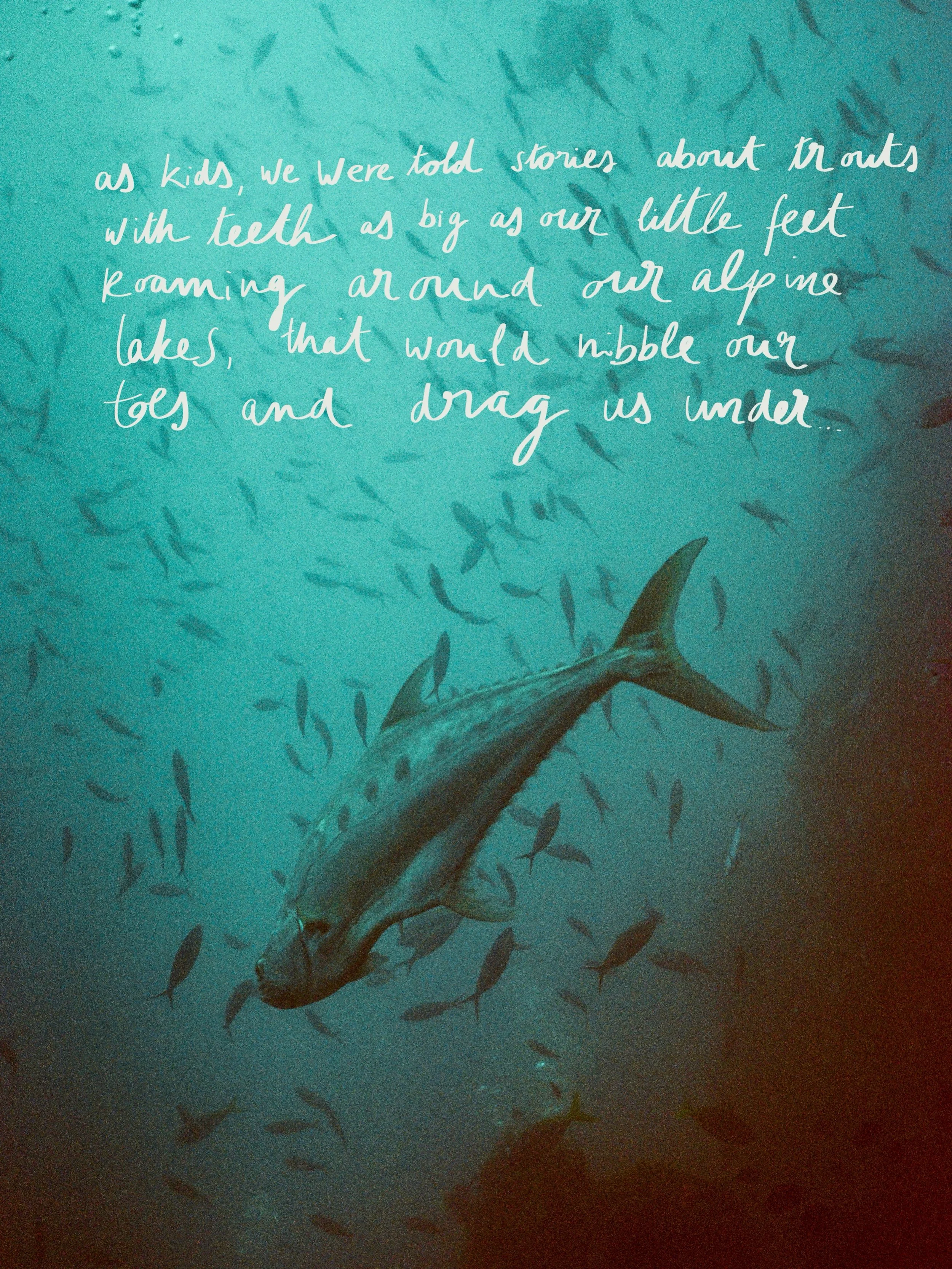As kids, we were told about trouts with teeth as big as our little feet, roaming around our alpine lakes, that would nibble our toes and drag us under.

I still swam, but as soon as something would touch my skin, I&rsquo;d forget to breathe, and swim