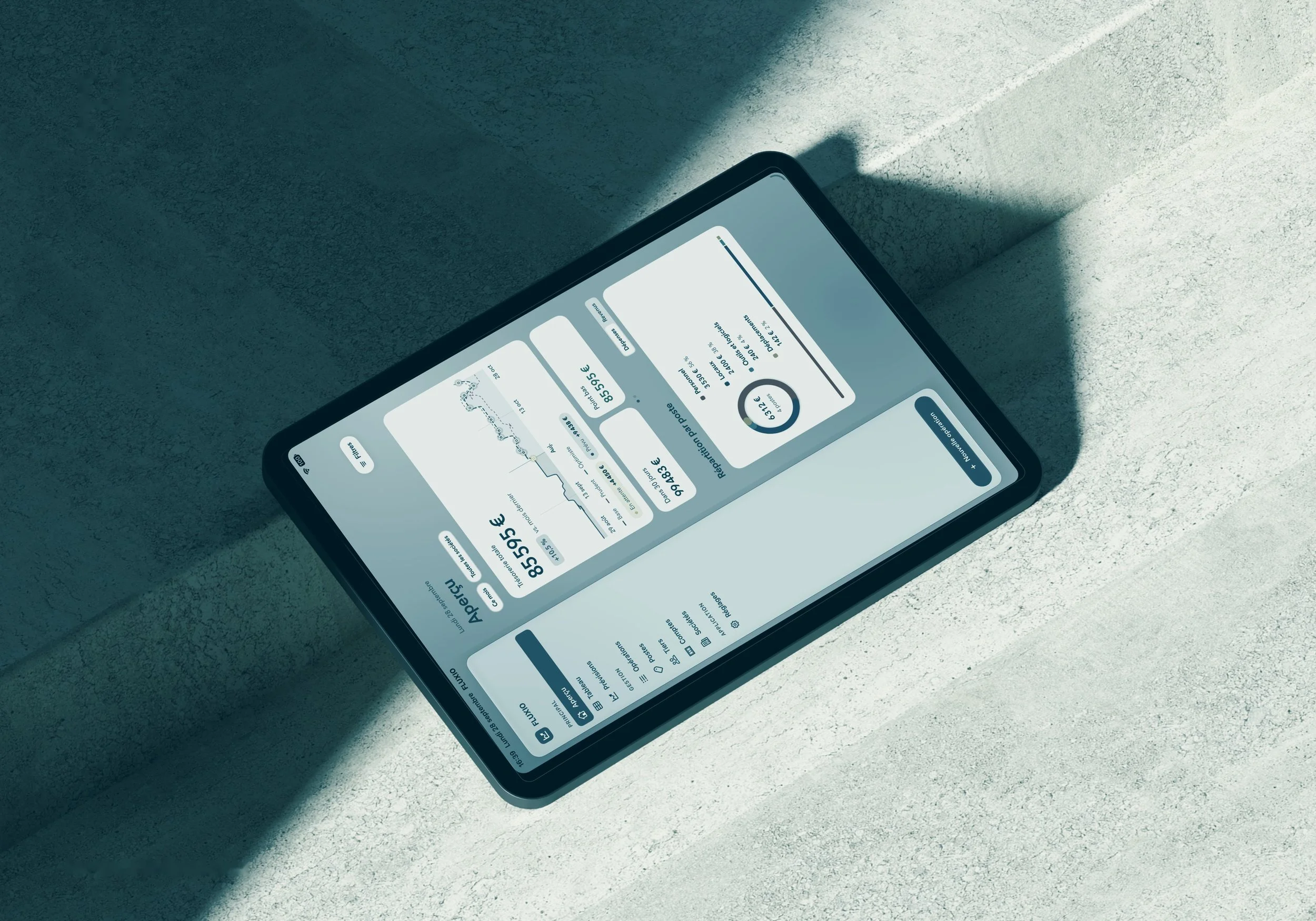 application IOS sur IPAD de FLUXIO by INSEATU, suivi de trésorerie