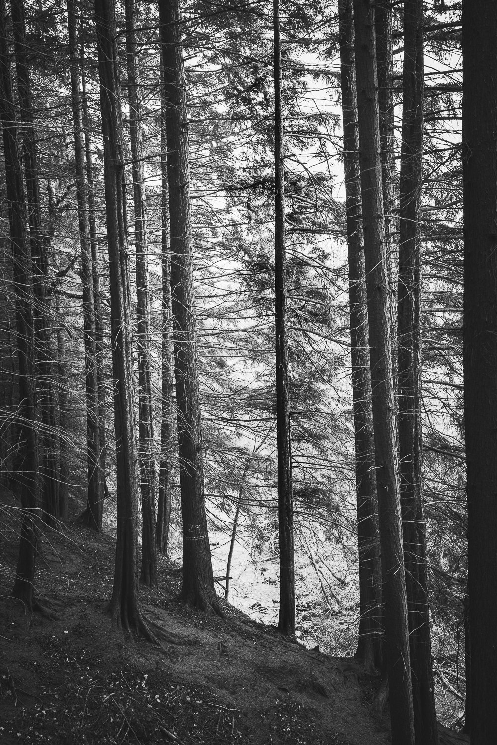 _R012904.jpg