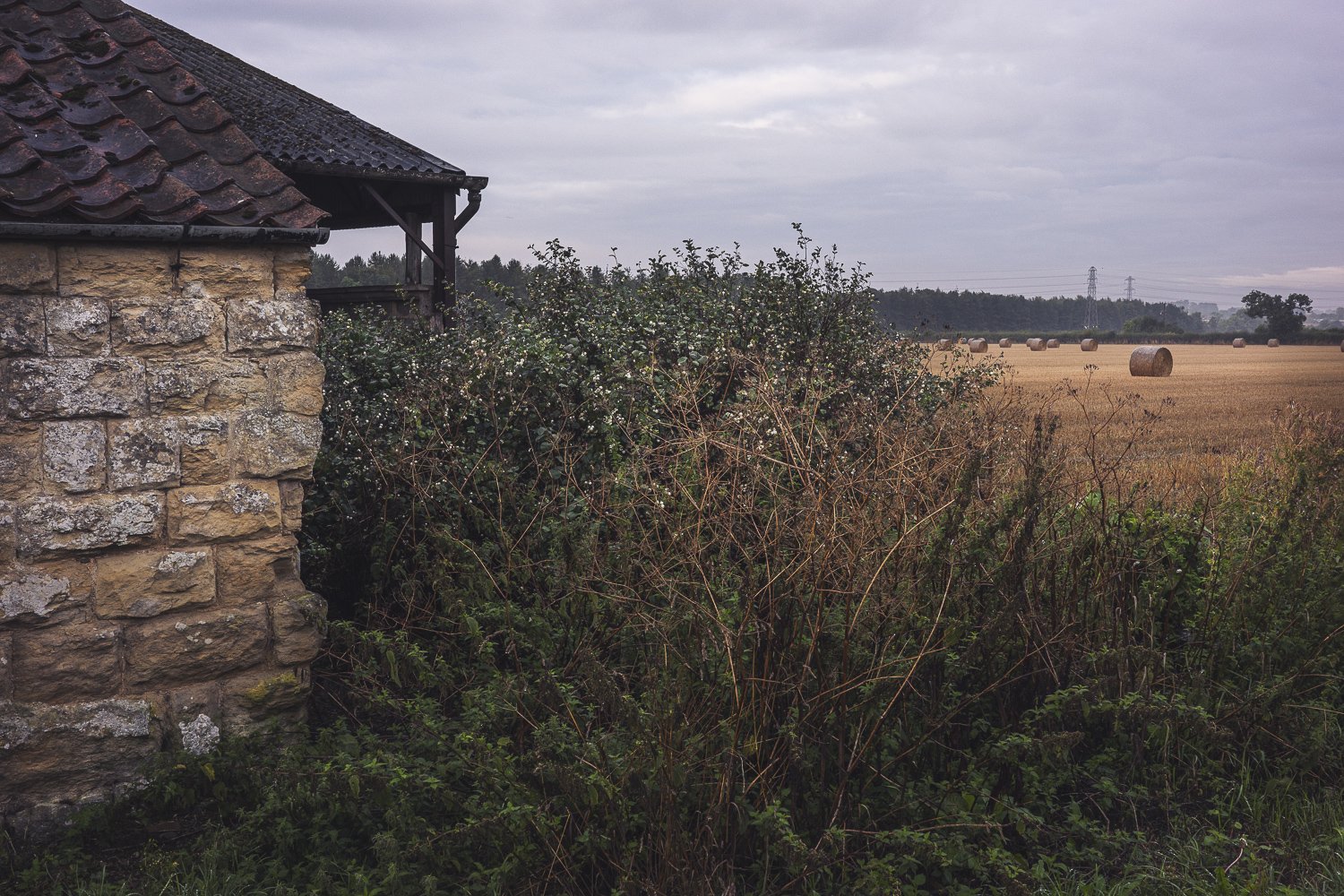 A rustic stone building with a tiled roof on the left side, overgrown bushes and dry grass in the foreground, a golden hay field with round hay bales in the background, under a cloudy sky.