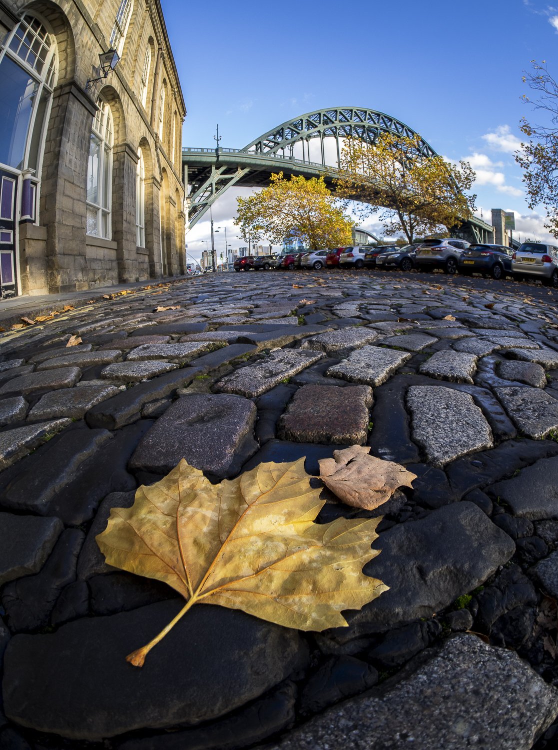 Newcastle 1-day workshop