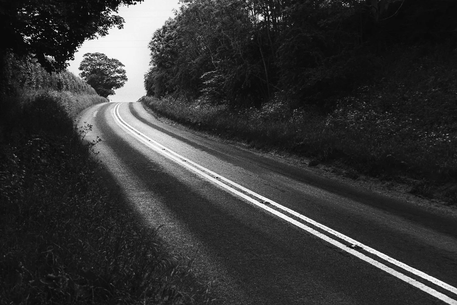 A winding two-lane road with double white lines runs through a wooded area with trees on both sides, in black and white.