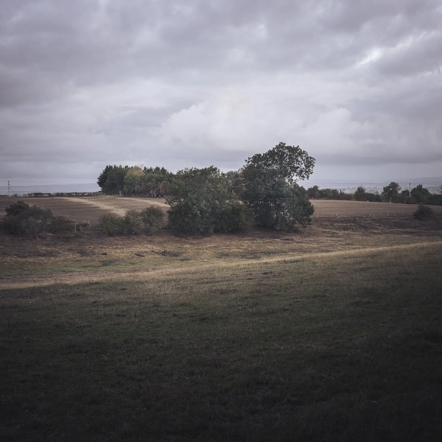 A landscape with cloudy skies, trees, open fields, and rolling hills in the distance.