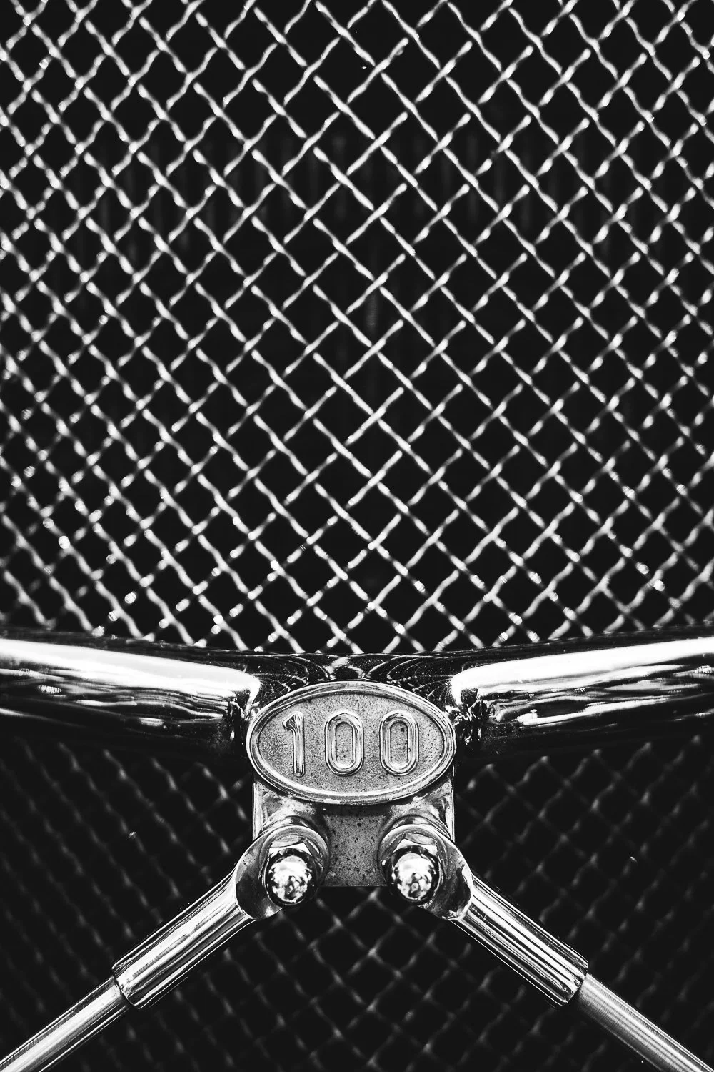 Close-up of a vintage-style radio grille with a metal badge marked '100' and two metal rods.