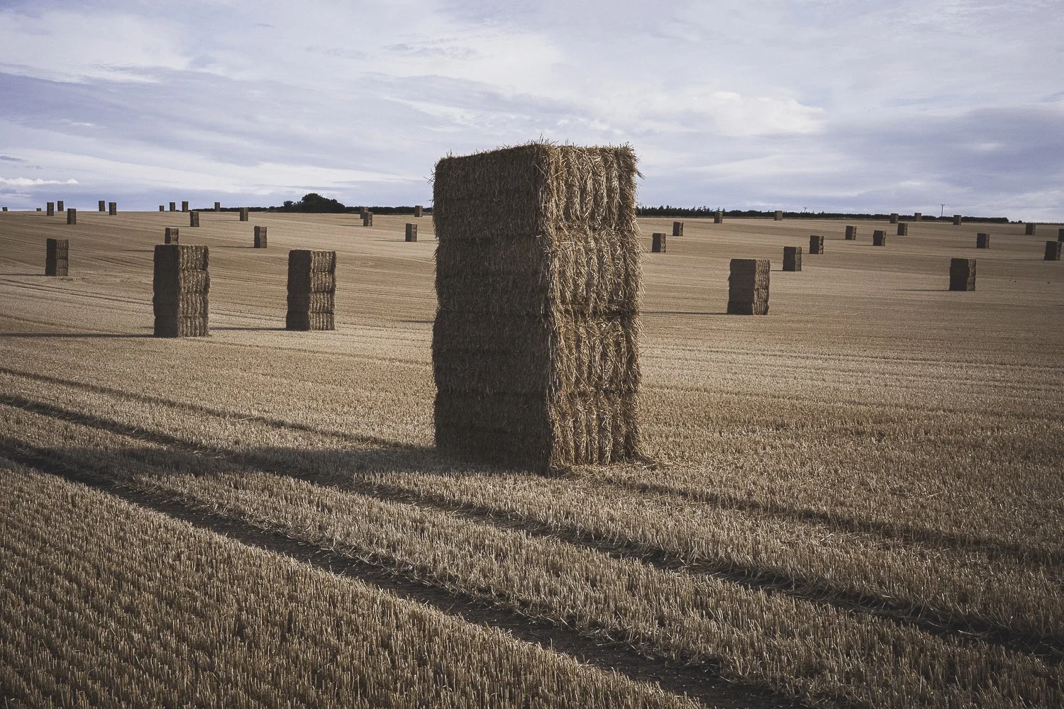 A large stack of hay bales stands in a vast wheat field with numerous other hay bales scattered across the field, under a partly cloudy sky.