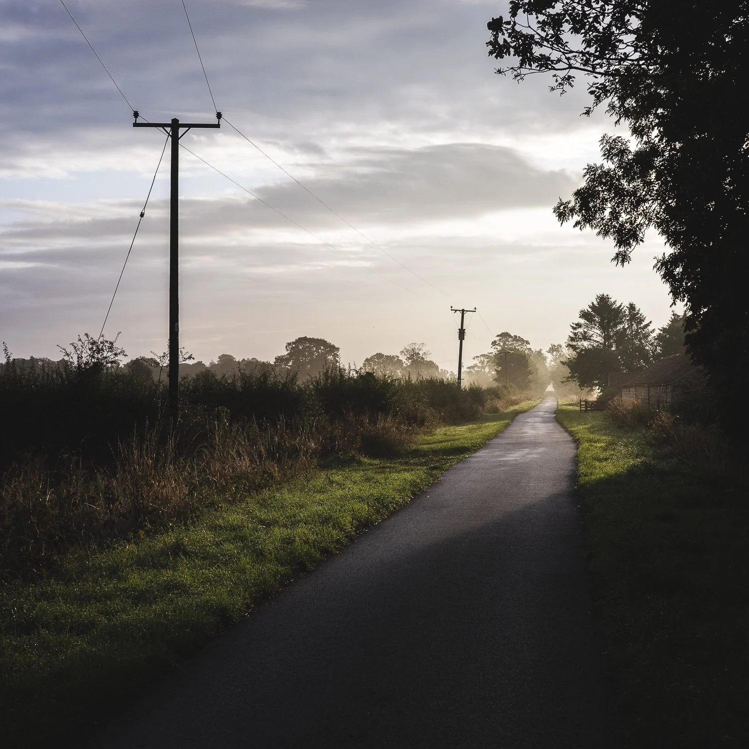 A rural dirt road at sunrise, with utility poles and trees on both sides, and a house visible in the distance under a cloudy sky.