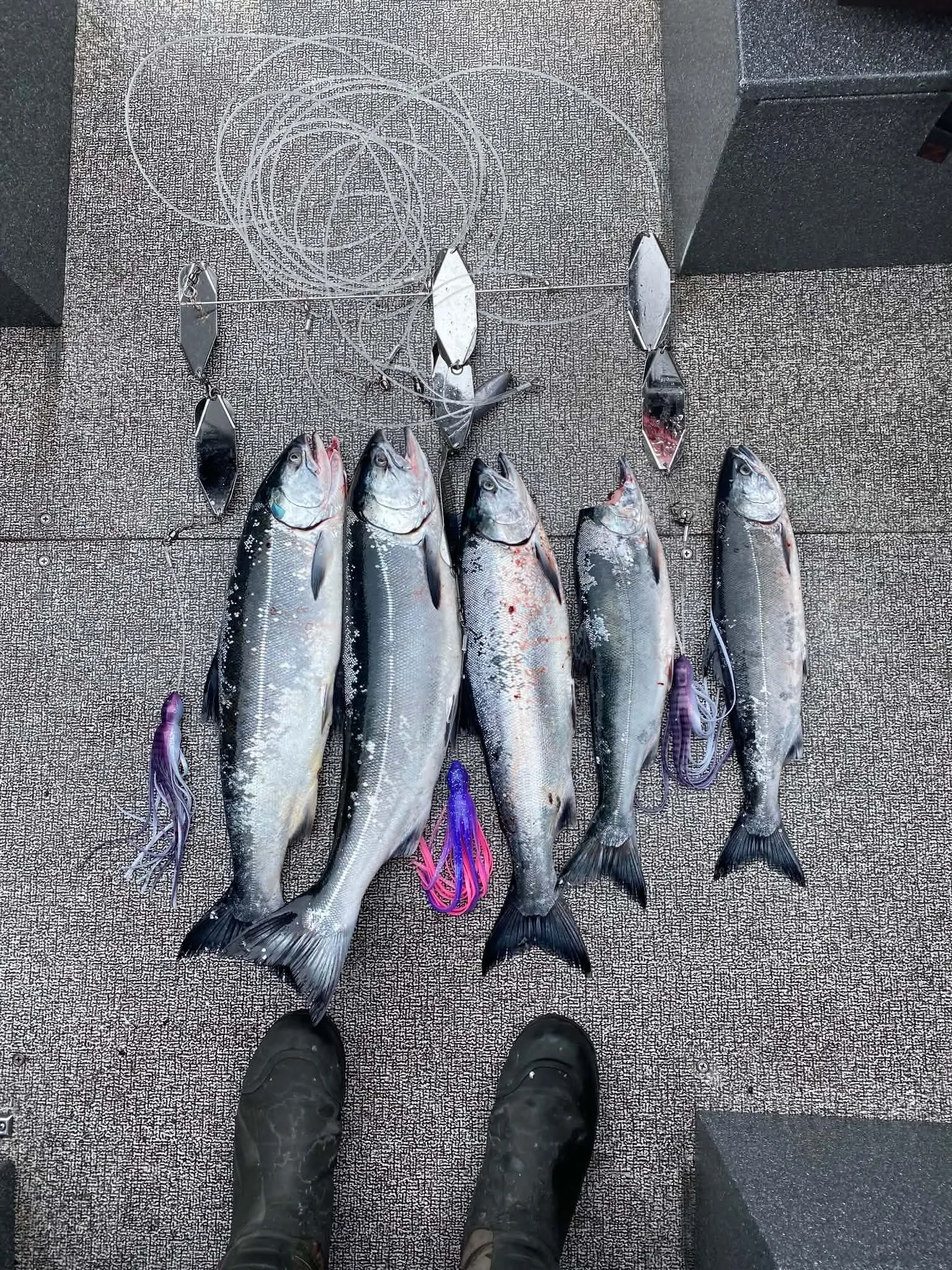 Angler displaying catch of fish with Badass Teaser lure