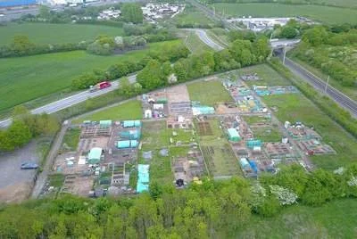Aerial view of a community garden with multiple plots, pathways, and surrounding green trees and fields.
