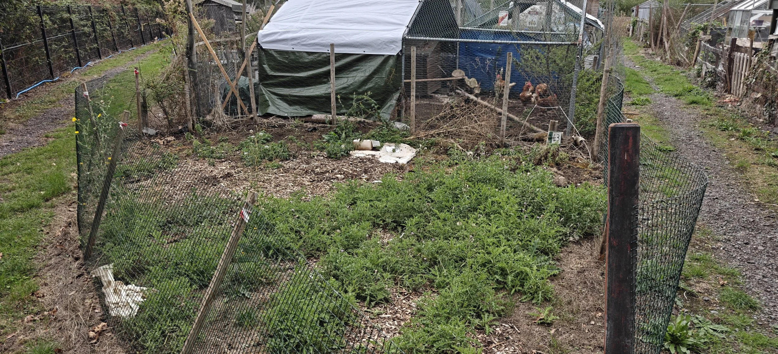Plot 48 starter allotment at My Patch Swindon, showing the small triangular plot beside the main path.