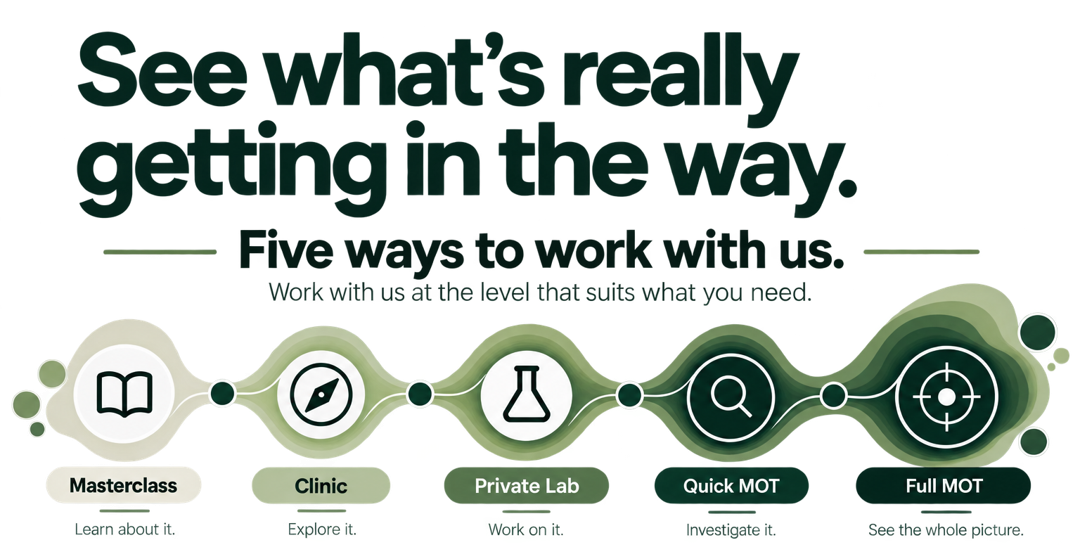Flowchart illustrating a pathway from Masterclass, Clinic, Private Lab, Quick MOT, to Full MOT, with icons representing a book, compass, laboratory flask, magnifying glass, and target