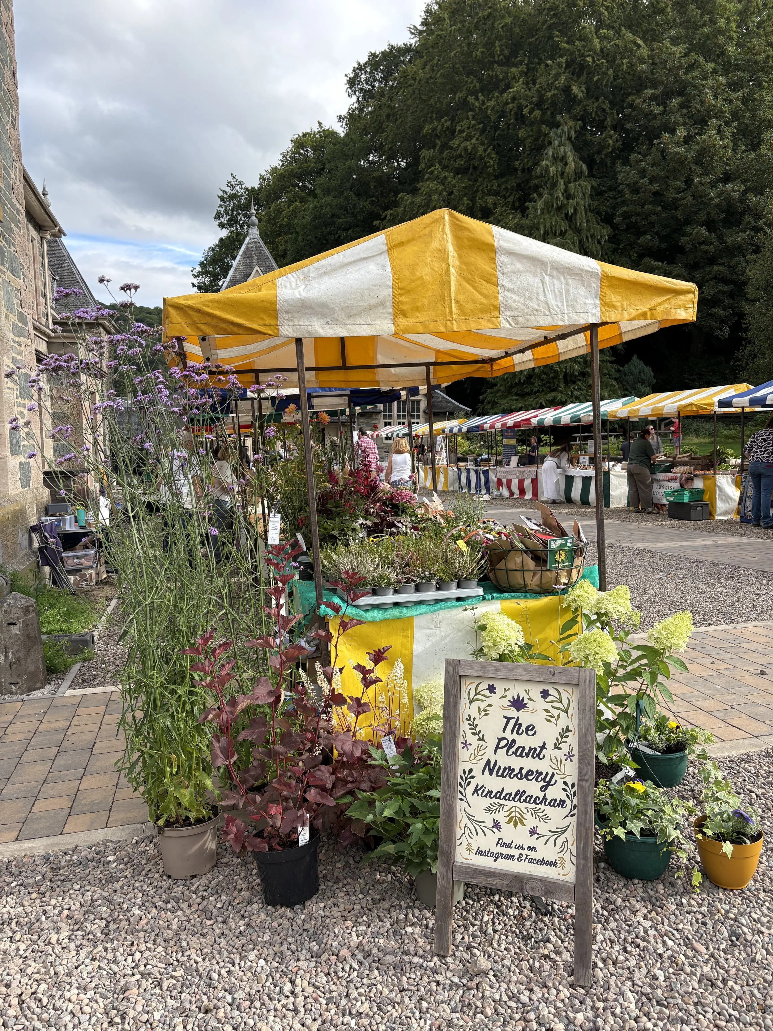 Flower and plant display at The Plant Nursery in Kindallachan, with tents and people at outdoor market stalls
