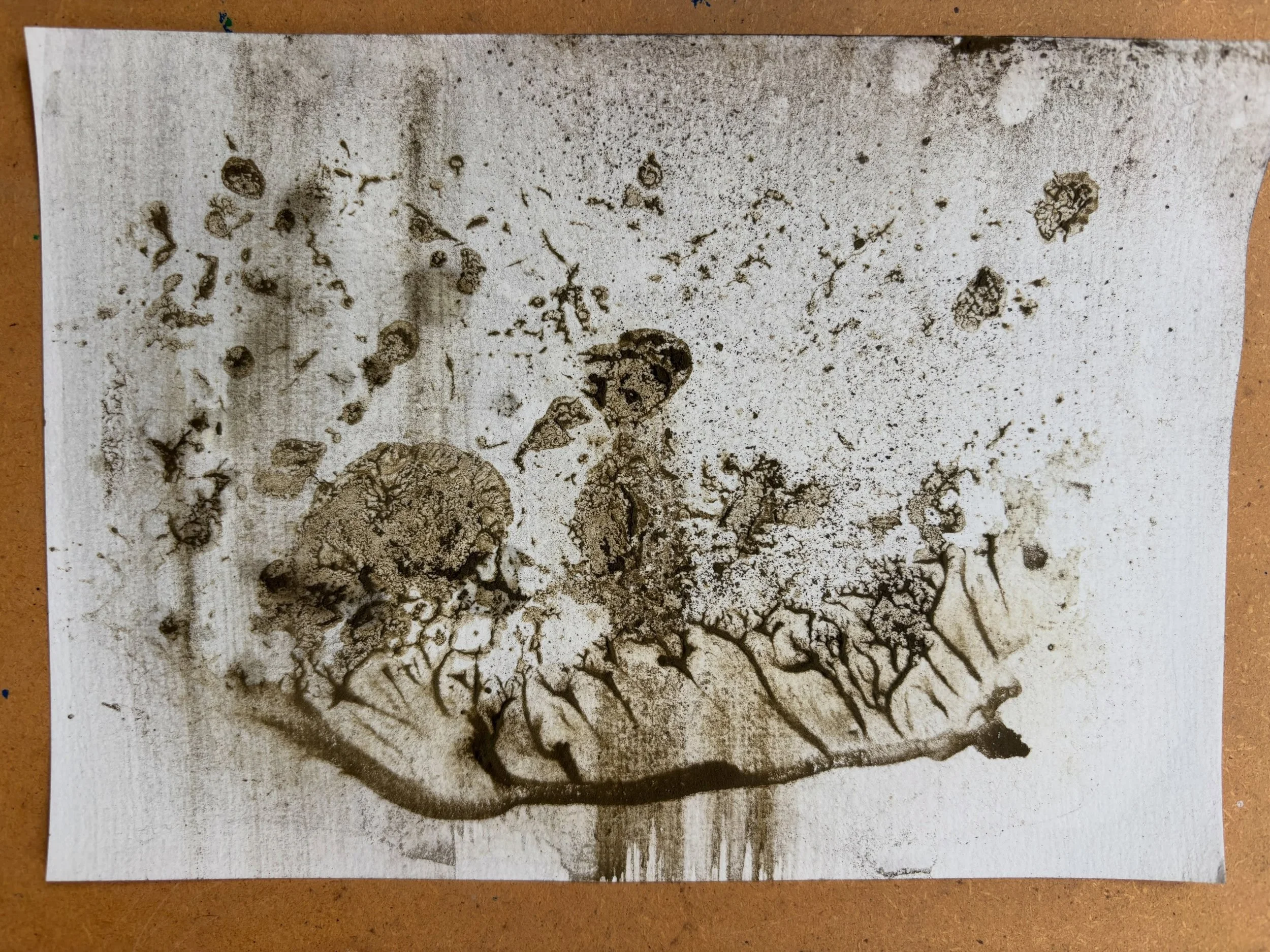 A5 &bull; silt stones residue &bull; water &bull; print and lift

Exploring and playing