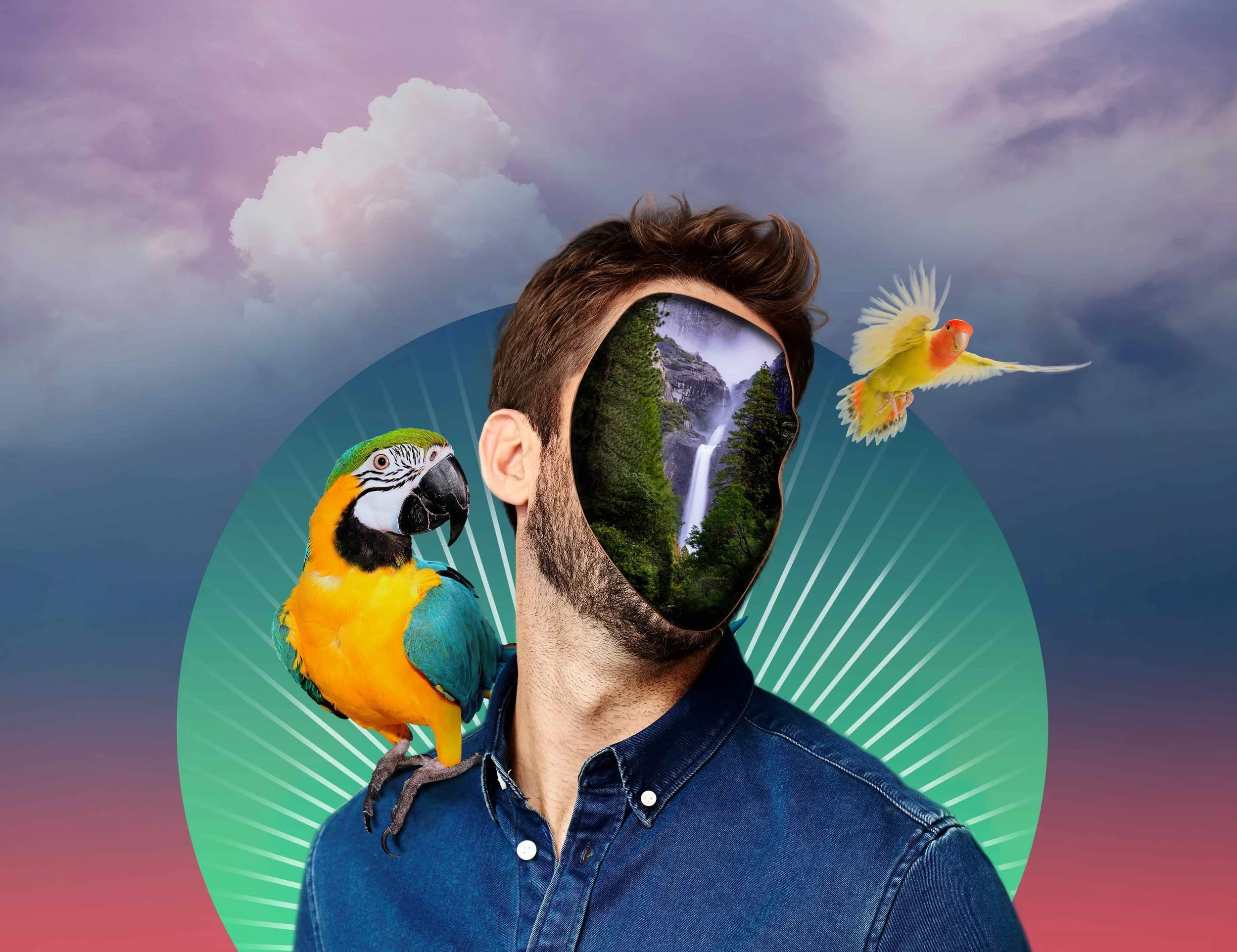 A digitally manipulated image of a man with a cutout for his face revealing a landscape of waterfalls and trees. A parrot is perched on his shoulder and another flying nearby. The background features a cloudy sky with gradient colors.
