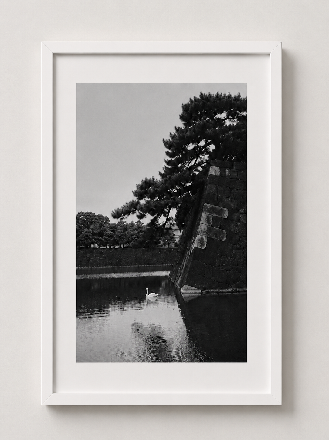 Tokyo Imperial Palace Swan, a black and white photograph of a swan beside stone walls and trees, on a gallery wall. Fine art photography prints by Terron Studio.