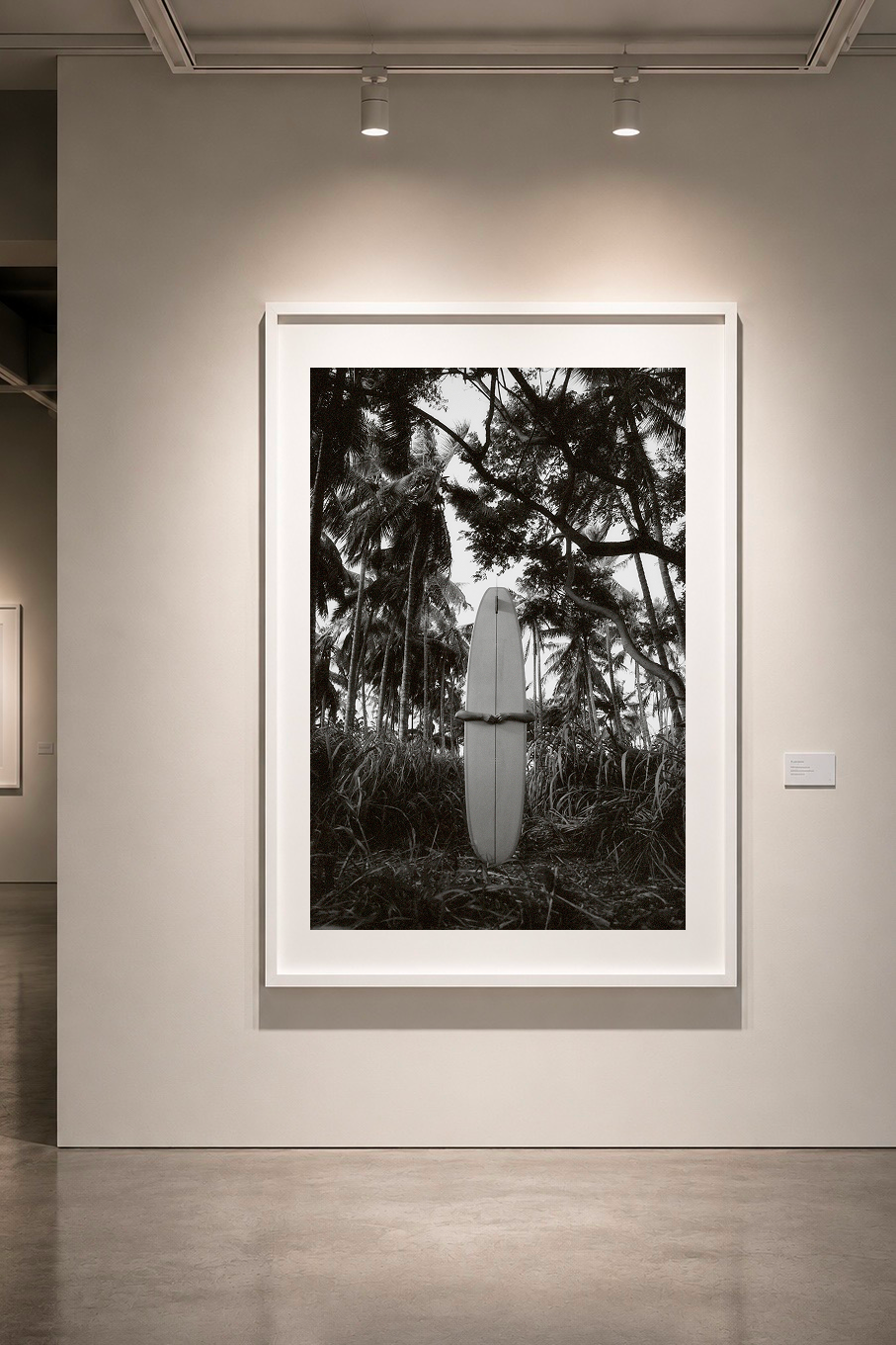 Longboard Love, a framed black and white photograph of a surfboard standing among palms and foliage. Fine art photography prints by Terron Studio.