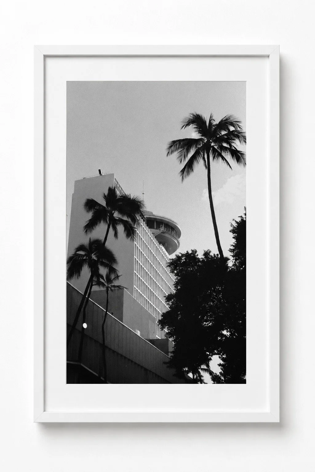 White-framed black and white Waikiki photograph of tall palms beside a building with a curved rooftop structure. Fine art photography prints by Terron Studio.