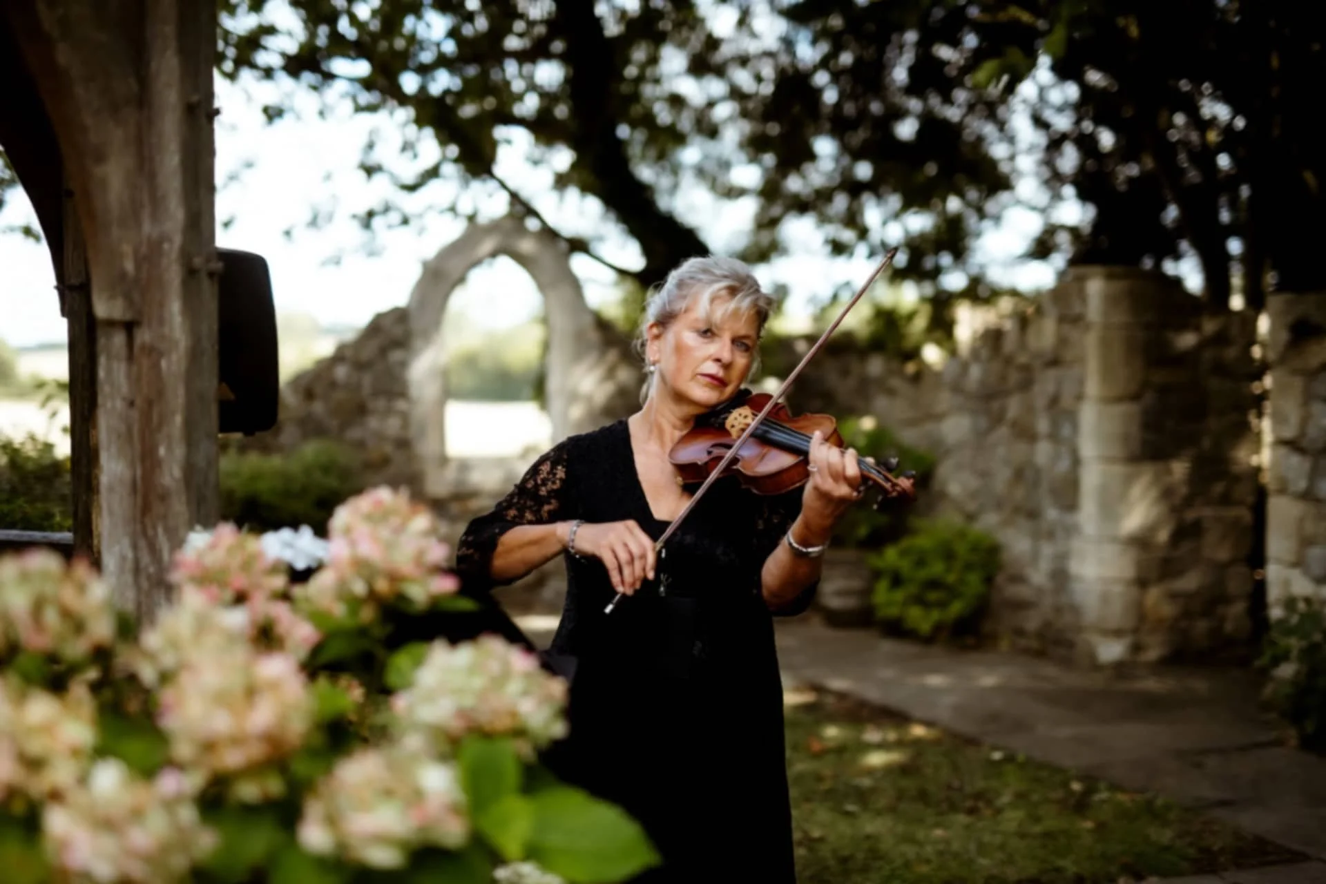 Amanda Violinist Hero.JPG