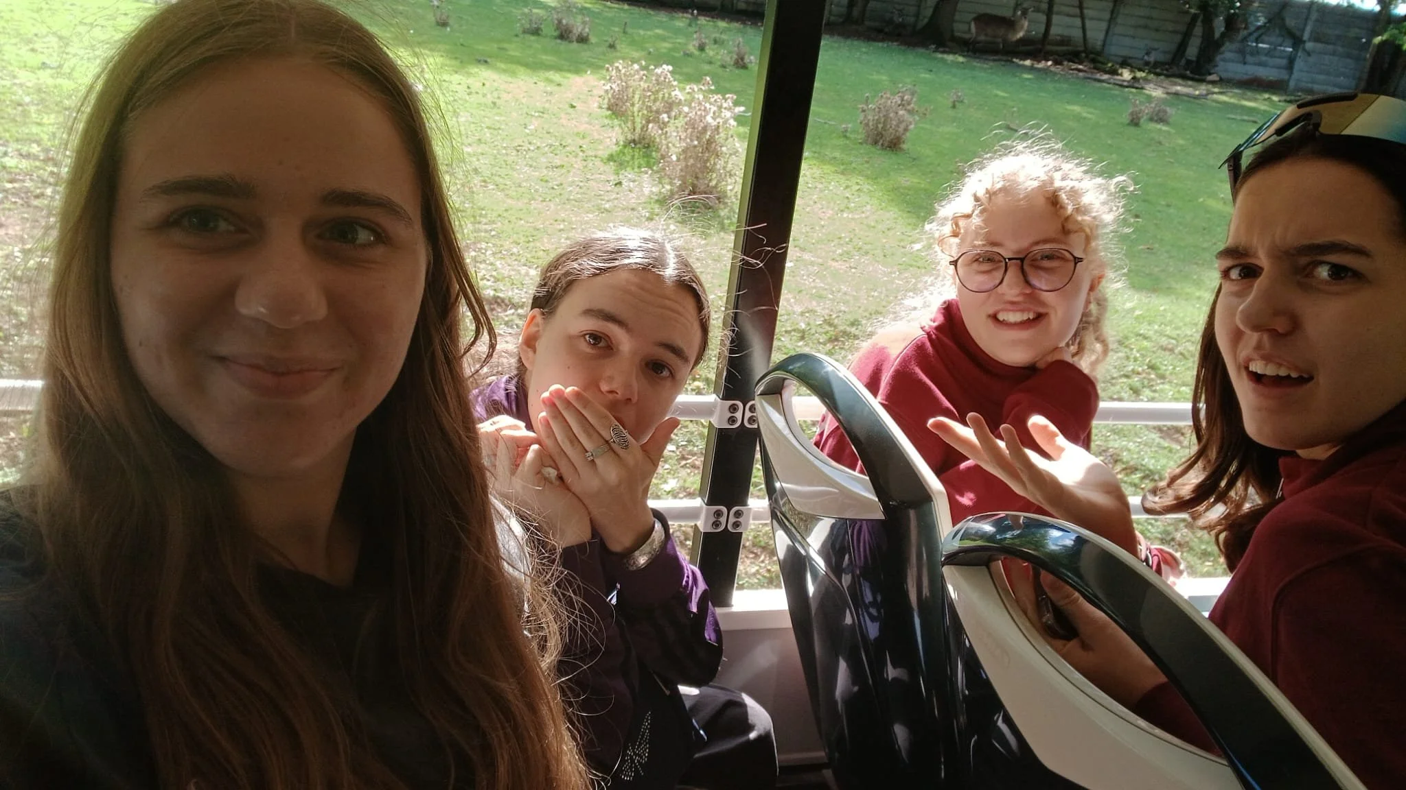 Im Safaribus
