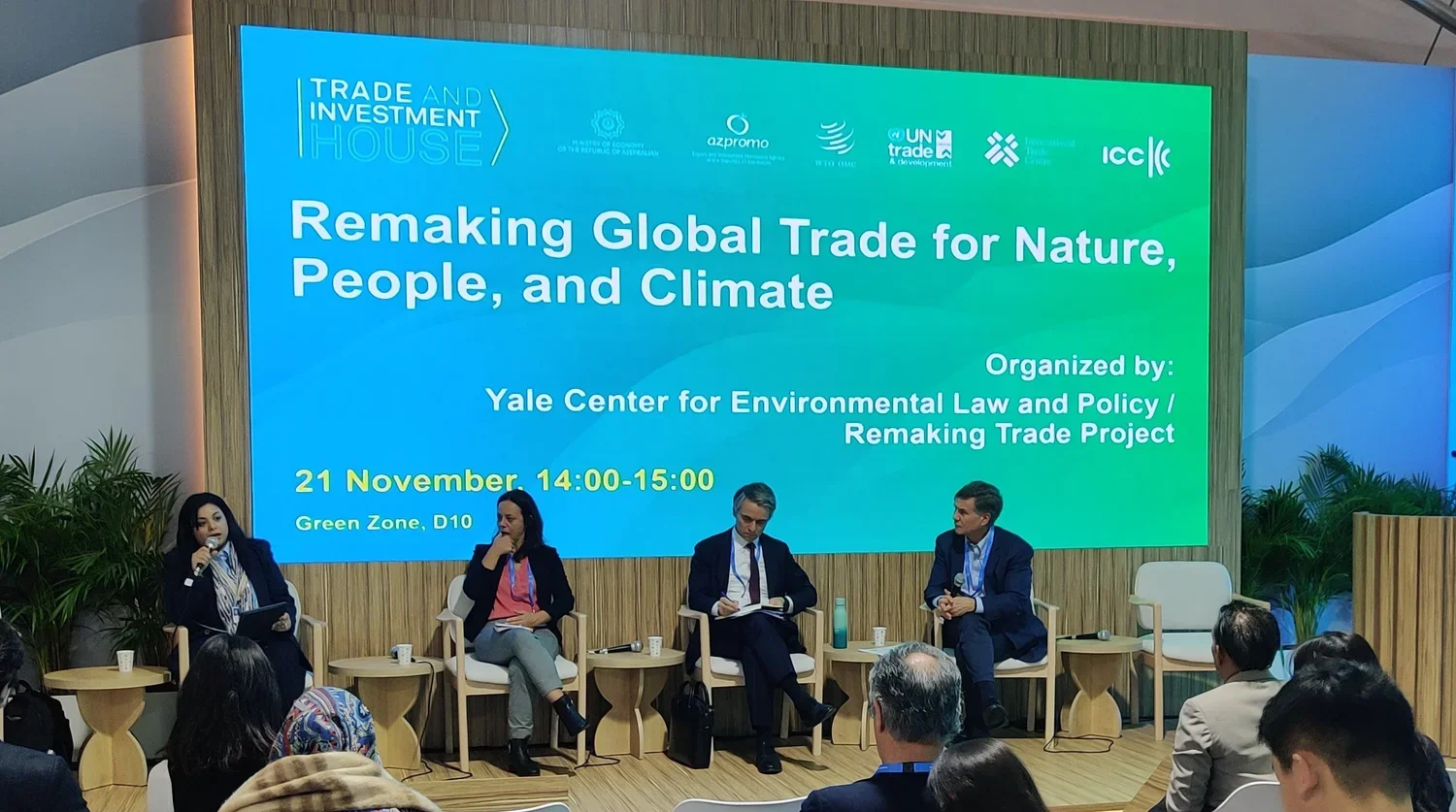 United Nations Climate Change Conference COP29 in Baku, Azerbaijan