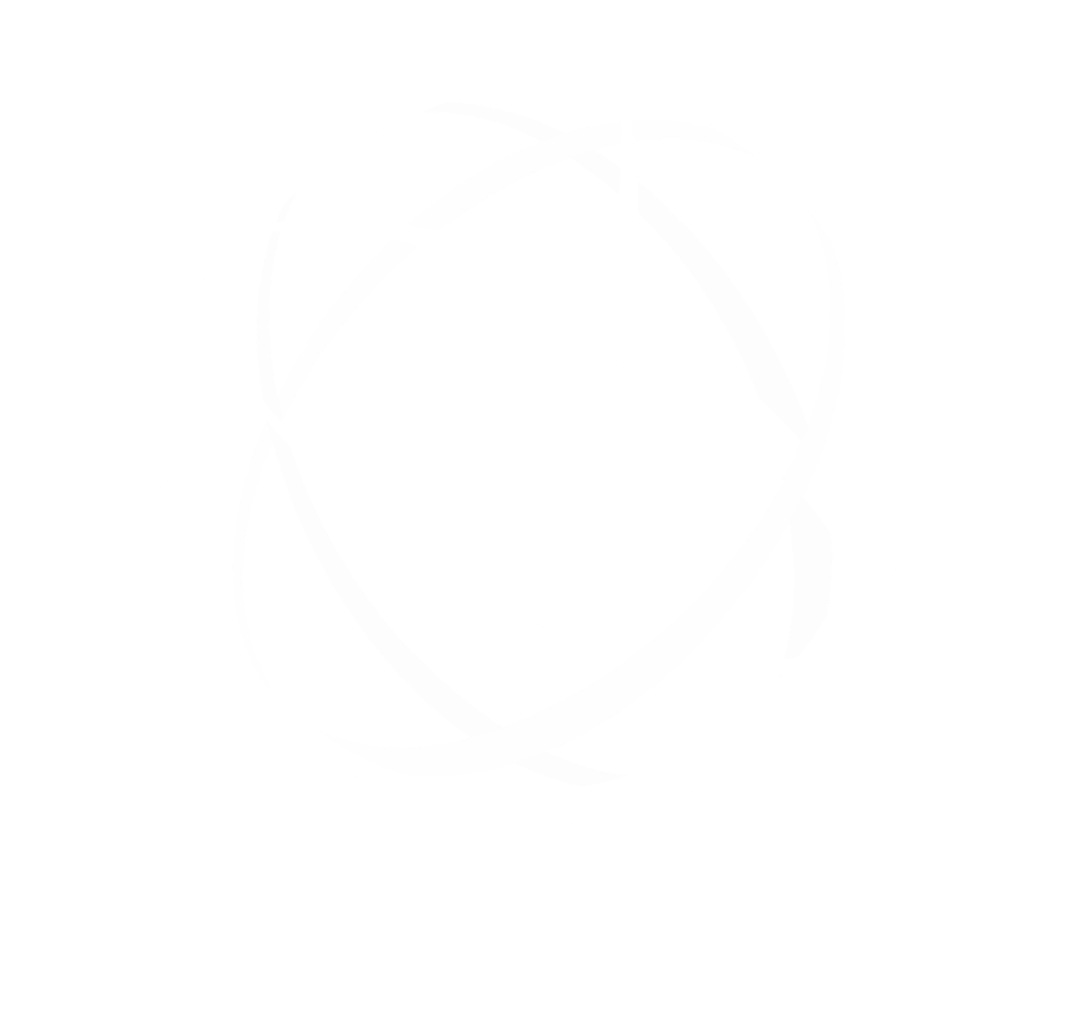 A white wireframe globe on a black background.
