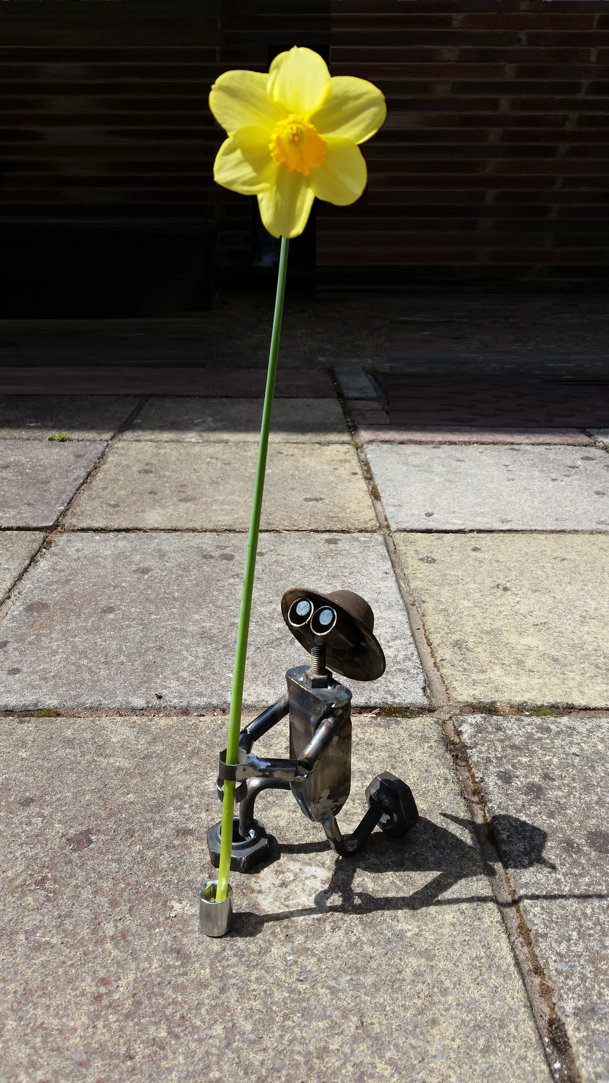 20160430_133332.jpg
