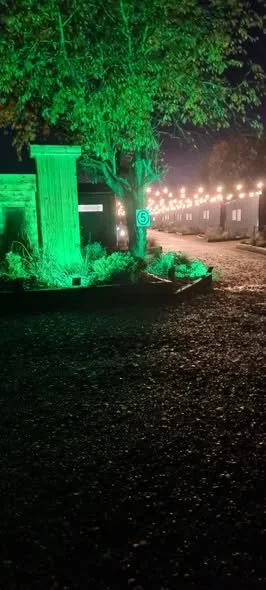 Night scene with a tree illuminated by green light, a wooden fence, a sign, and string lights in the background.
