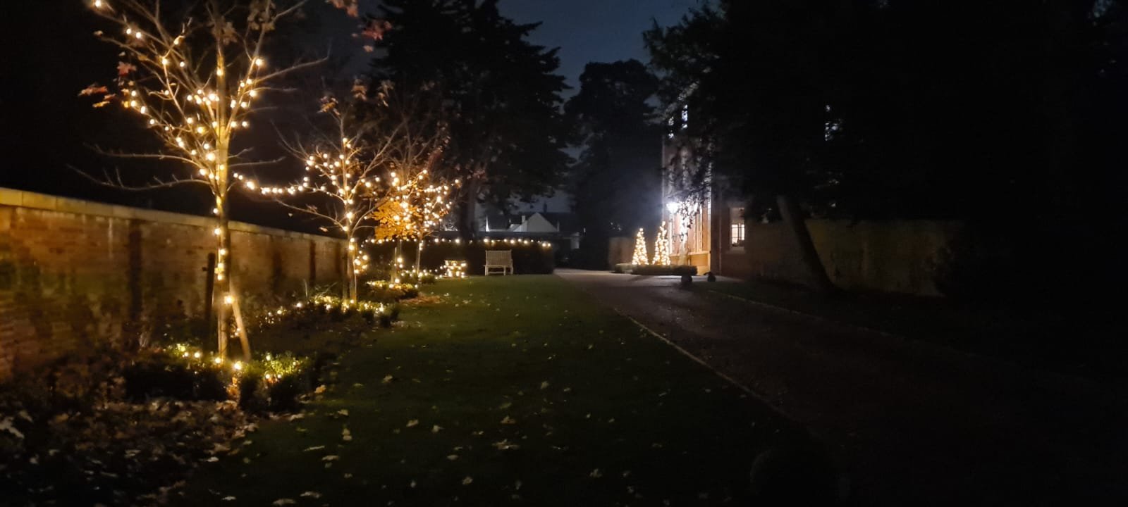 Nighttime holiday scene with trees decorated with string lights along a brick wall, and lit Christmas trees in the background.