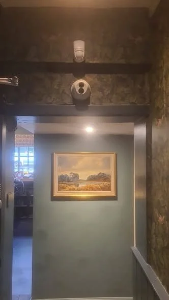Hallway with a framed landscape painting on the wall, smoke detector, and a security camera on the ceiling.