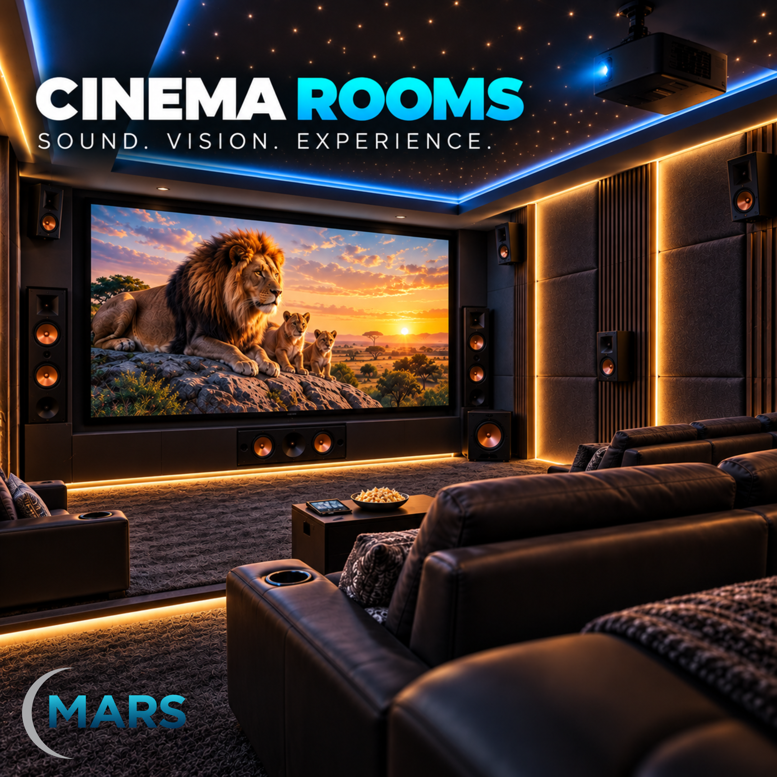 Cinema Rooms