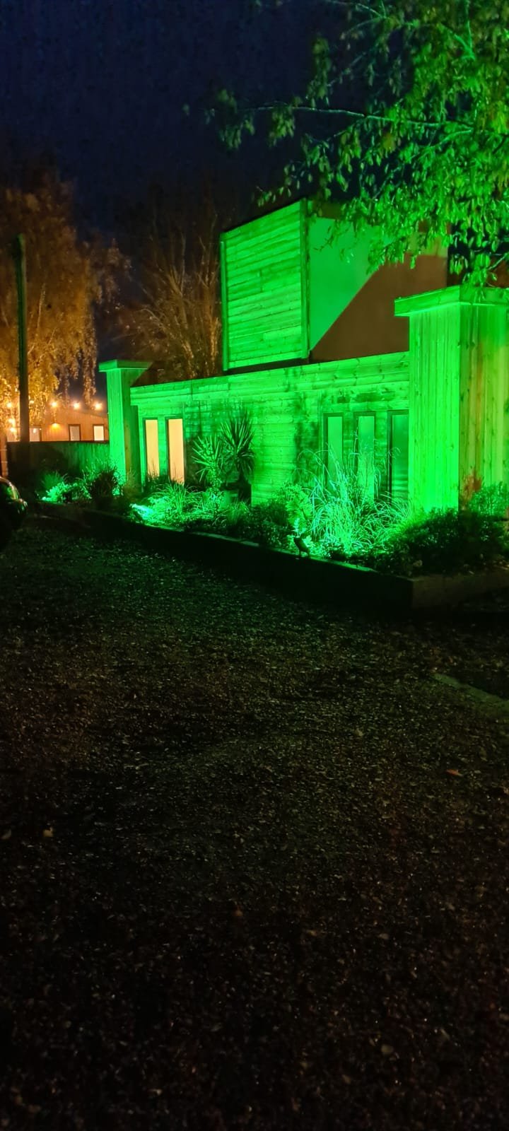 A building illuminated with green lights at night, with trees and plants in front and a gravel driveway.
