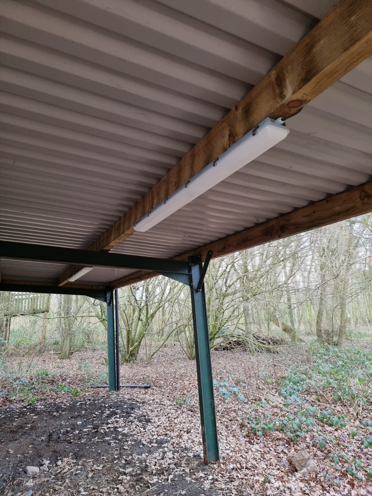 View of the underside of a roof with metal and wood beams, featuring two mounted fluorescent light fixtures, with forested trees and leaf-covered ground in the background.