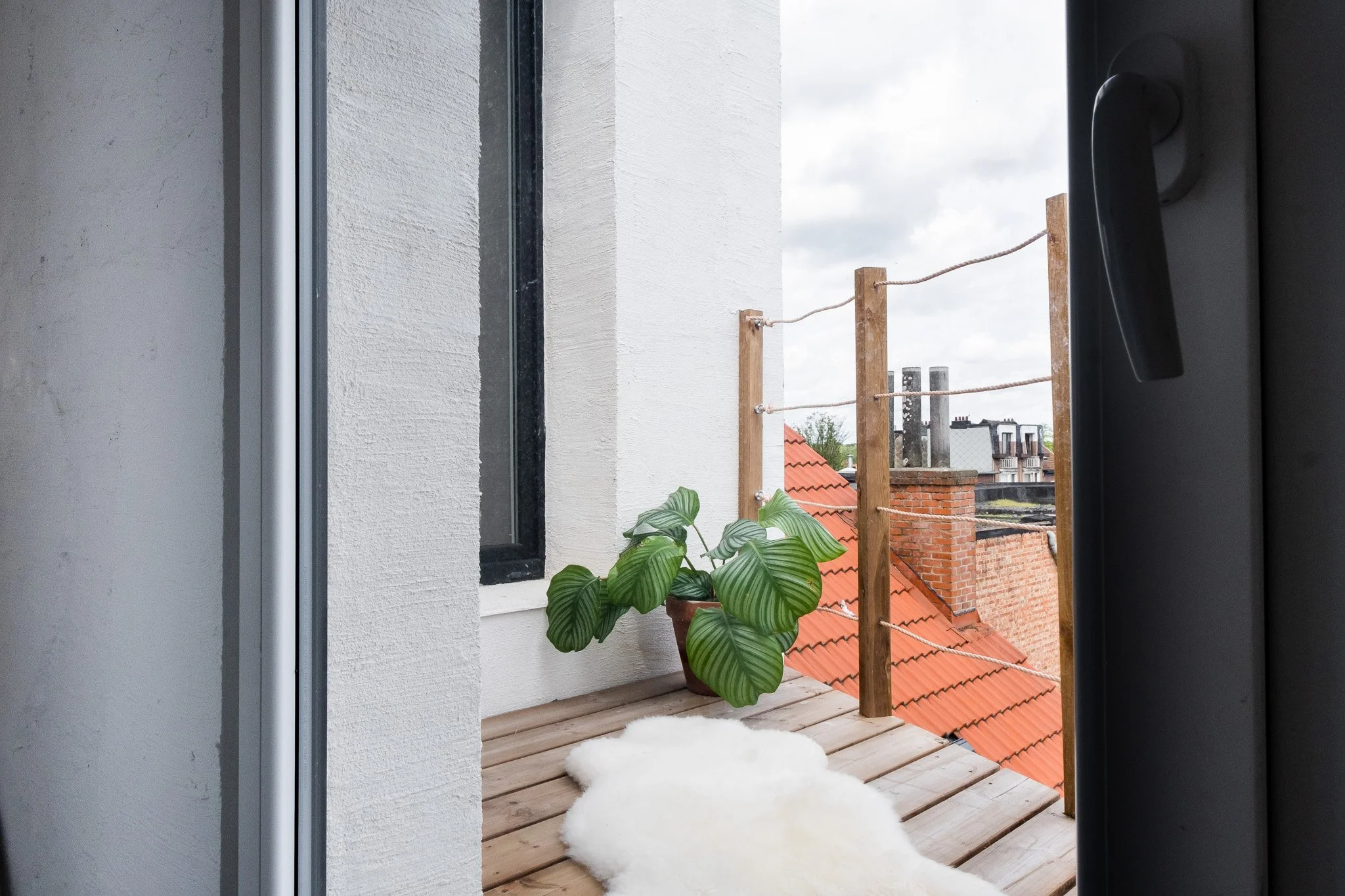 Van de perrelei 8 Hoboken-12.jpg