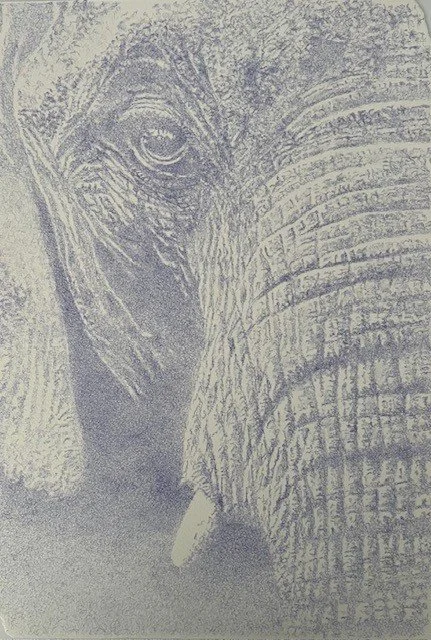 elephant.jpg