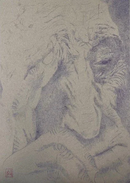 Barbara Castermans - wondering man - no frame - 2026.jpg
