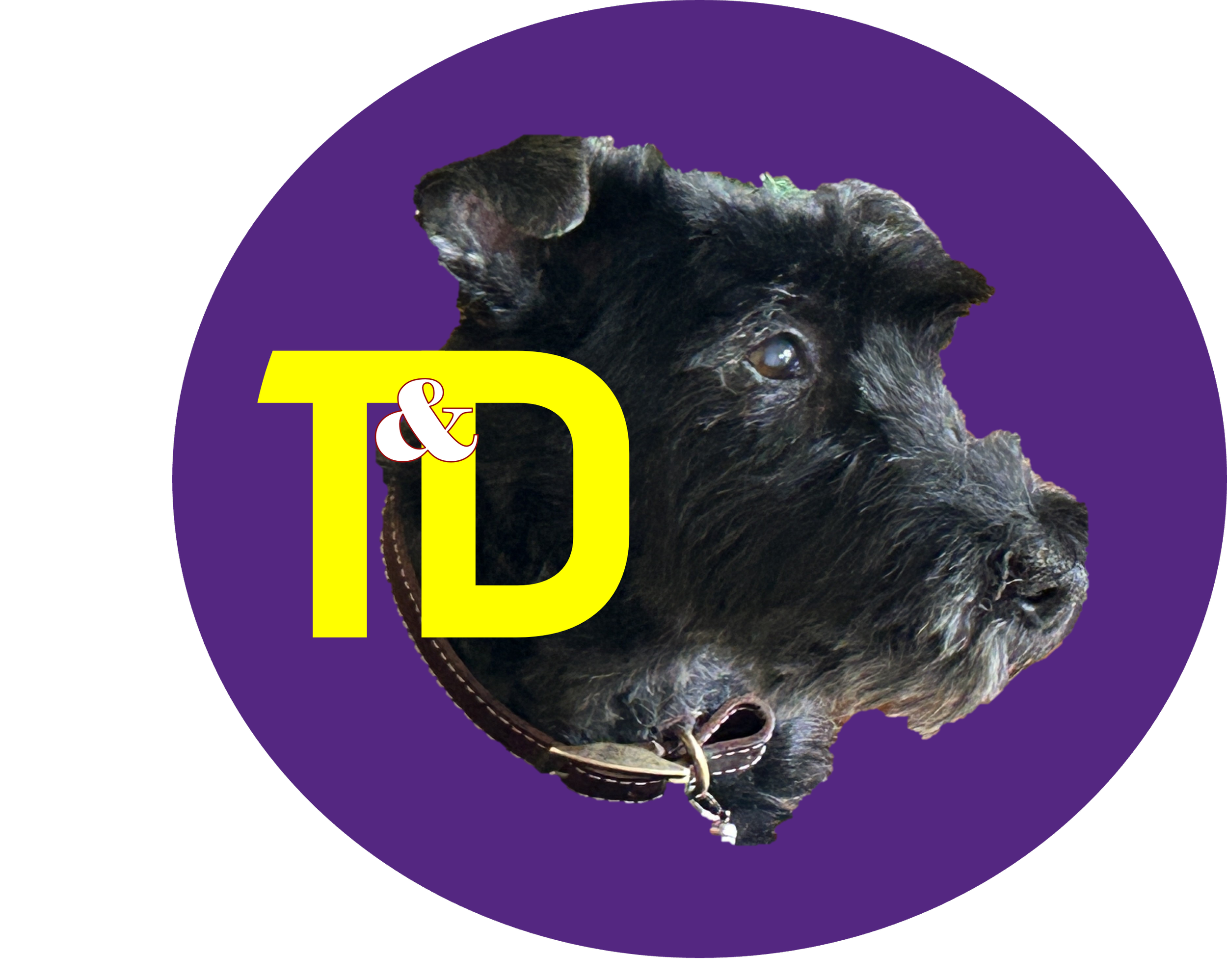 A black dog with a purple background and yellow text that says "T&D".