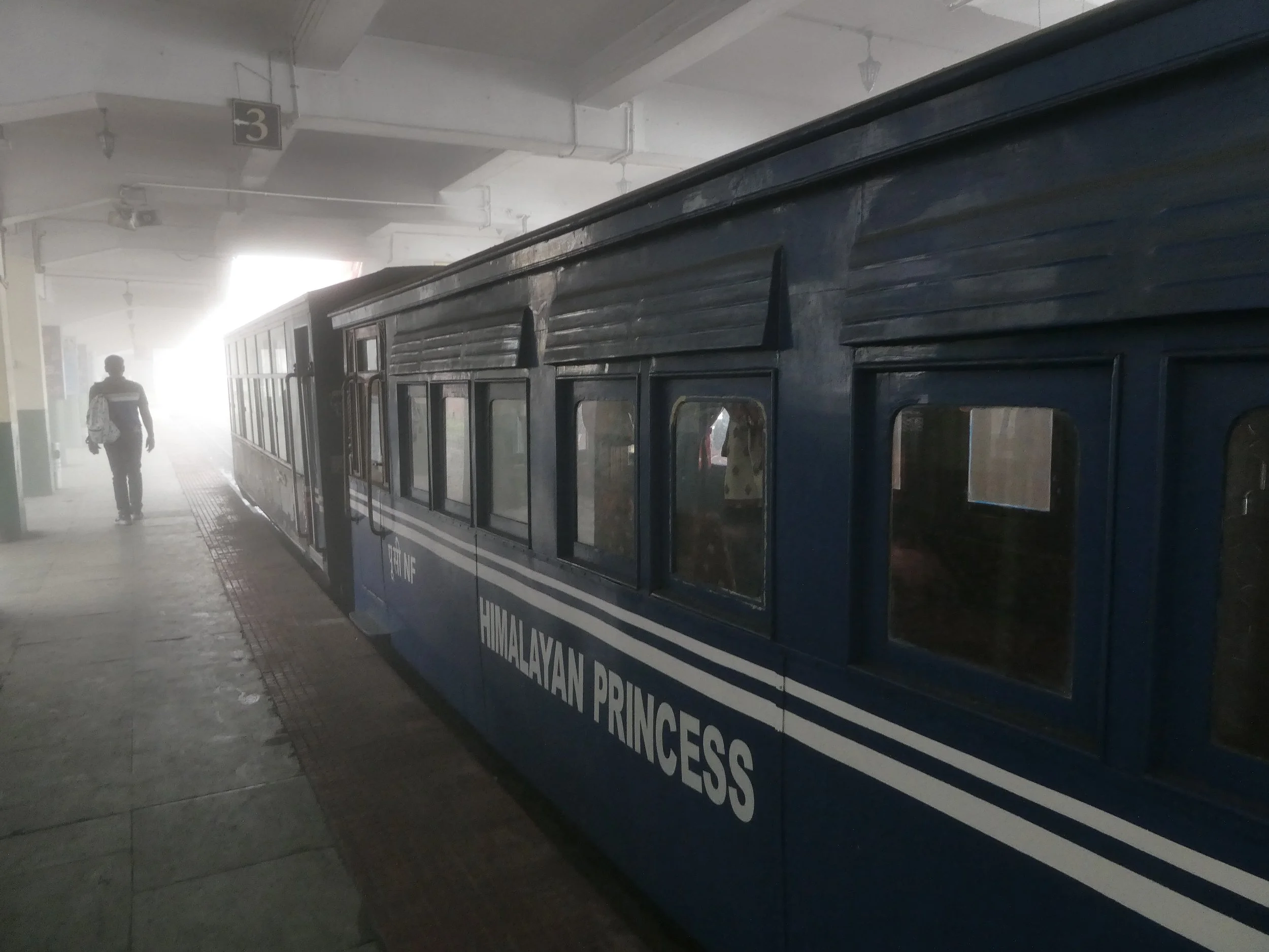 A person walking through a foggy train station platform with a blue sign in the background. To the right, there is a blue train car with white text that reads 'Malaysian Princess.'