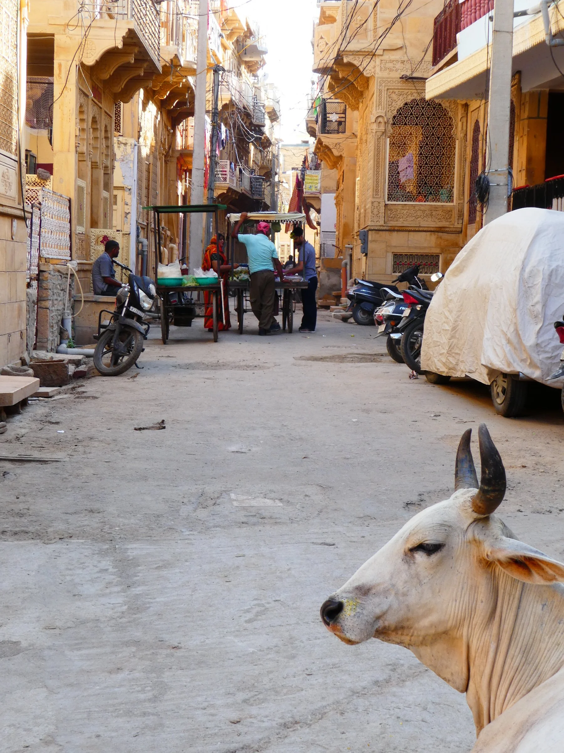 Street scene in a historic city with ornate buildings, a small vendor cart, motorcycles, and a cow in the foreground.