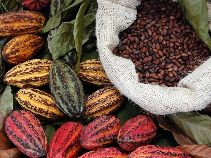 Brand Foundations for Hawaii-Grown Chocolate
