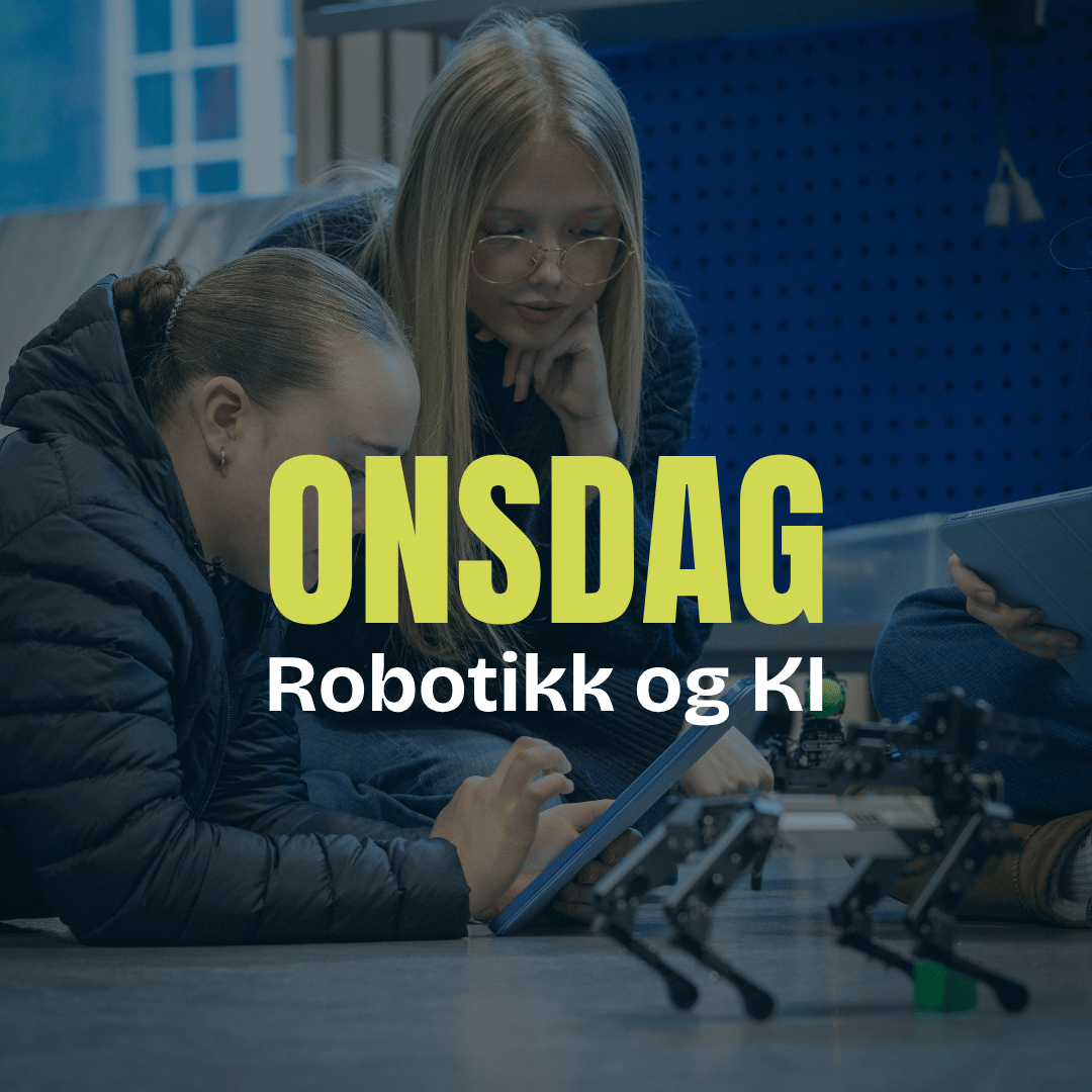 ONSDAG 11. NOVEMBER