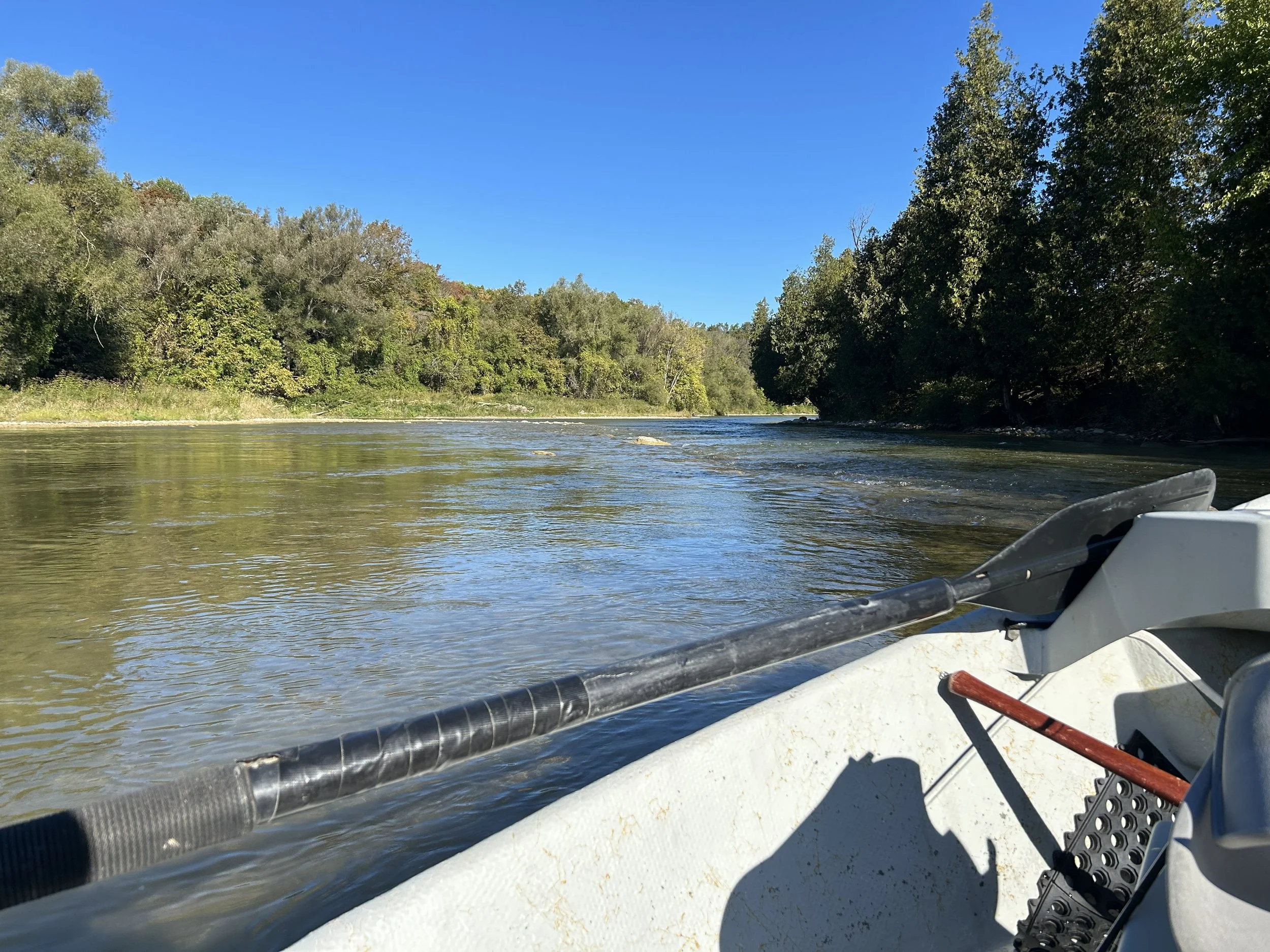 View from a boat on a river with trees on both sides and a clear blue sky overhead.
