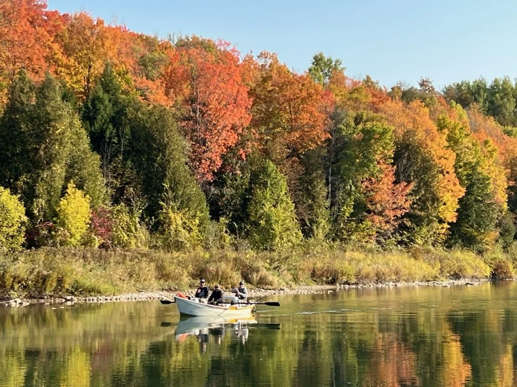 A small boat with four people rowing on a calm river, surrounded by trees with vibrant autumn foliage in shades of green, yellow, orange, and red.
