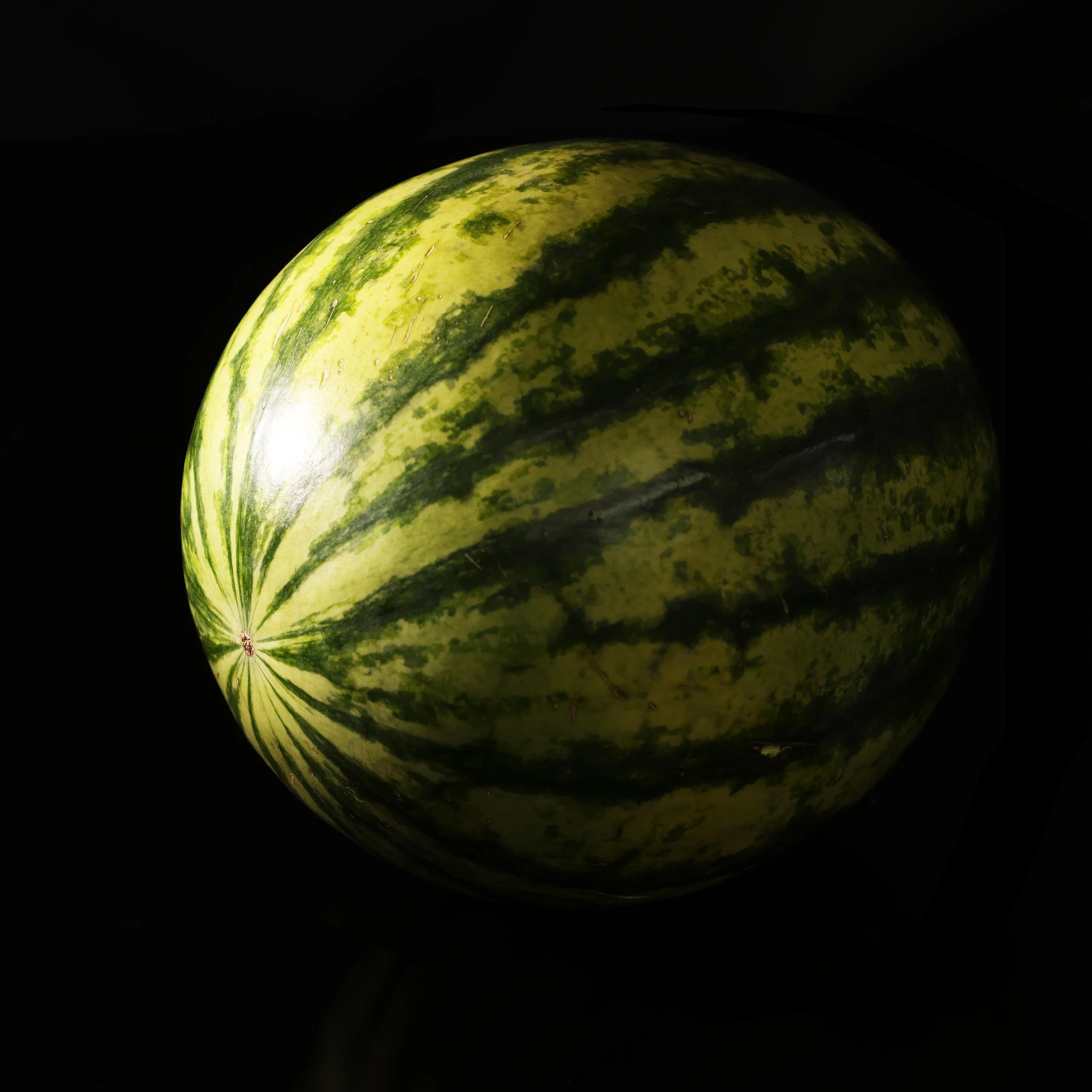 Watermeloen met zachte lichtinval.jpg